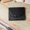 Minuit sur Terre Portfolios<Allegro Croco Noir