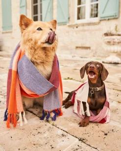 Minuit sur Terre Scarves & Hats<Méridien Mandarine
